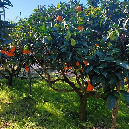 בית נופש Il Frutteto *