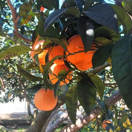 Il Frutteto בית נופש מסה לוברנסה