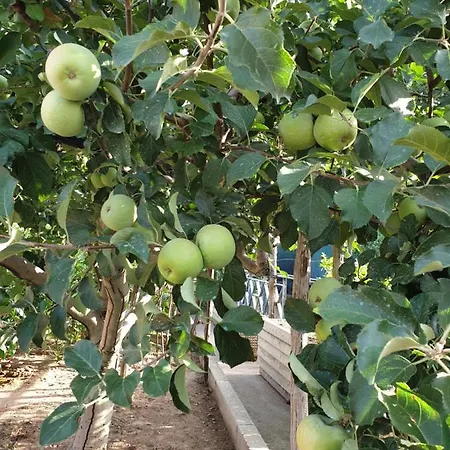 בית נופש Il Frutteto מסה לוברנסה